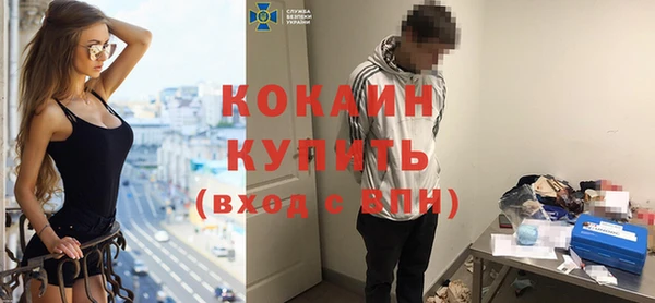 гидра Инта