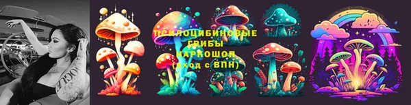 гидра Инта