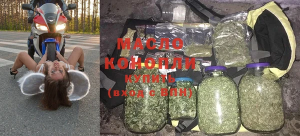 гидра Инта