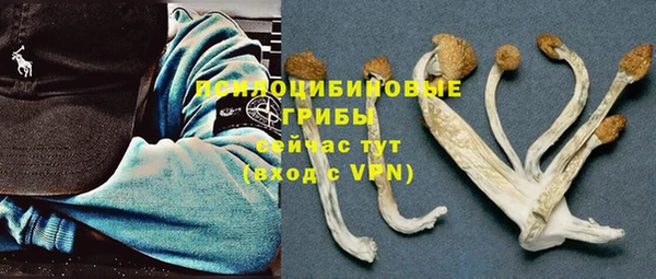 дмт Иннополис