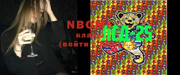 индика Зерноград