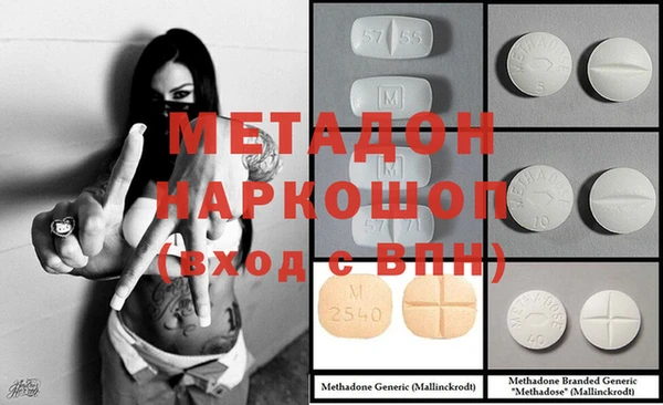 гидра Инта