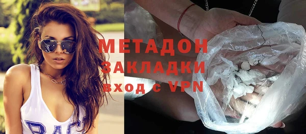 гидра Инта